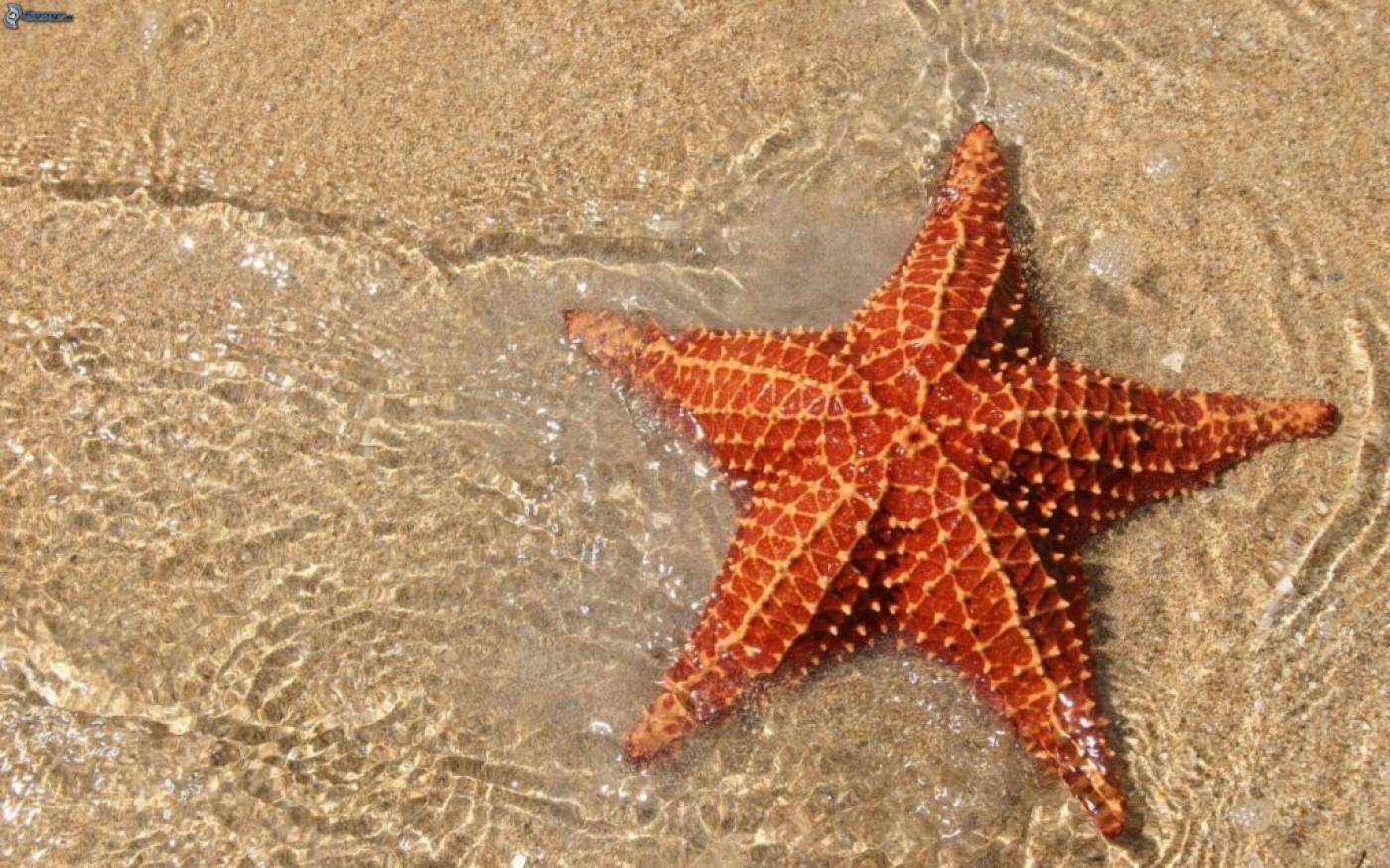 Cultura y playa en Panamá